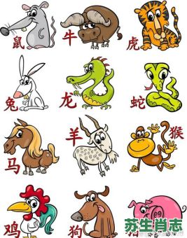 听字是什么生肖？听十二生肖代表什么动物