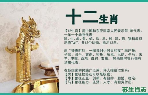 100岁是什么生肖？100岁属什么动物