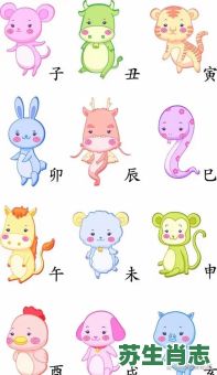 索是什么生肖？索的意思和含义是什么