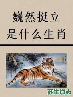 浮是什么生肖？浮打一正确生肖是什么