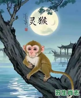 猴子上树是什么生肖？猴子偷桃最佳三个生肖