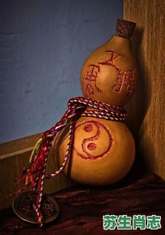 八卦乾坤是什么生肖？乾坤代表什么动物