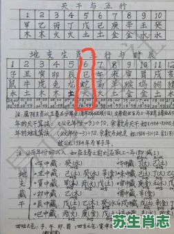 伍是什么生肖？伍是什么数字
