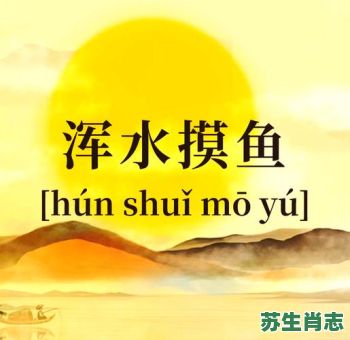 浑水摸鱼是什么生肖？浑水摸鱼打一准确生肖