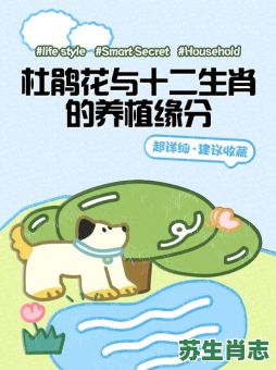 杜鹃花是什么生肖？汪汪大叫是哪6肖