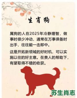 清风明月是什么生肖？春风代表什么生肖