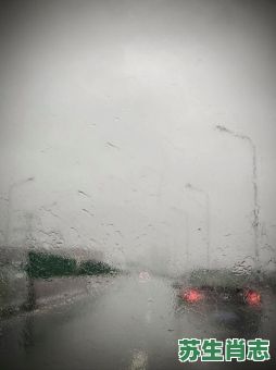秋雨绵绵是什么生肖?秋雨挺棉打一动物 秋雨绵绵是什么生肖?秋雨挺棉打一动物