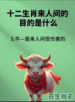 虚惊一场是什么生肖？虚惊一场最正确的生肖