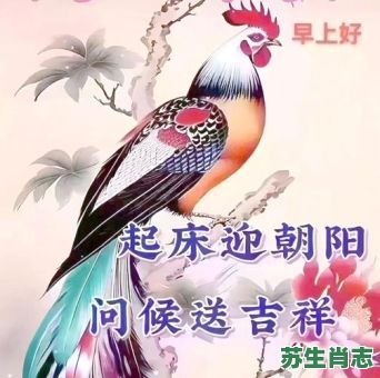 迎朝阳是什么生肖？给是指什么生肖