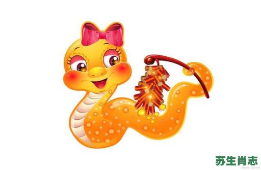 夜里行动是什么生肖？夜里行动最正确的动物