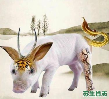 搞破坏的生肖是什么？毁是什么生肖