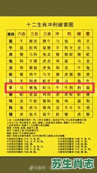 杂是什么生肖？杂是什么数字?