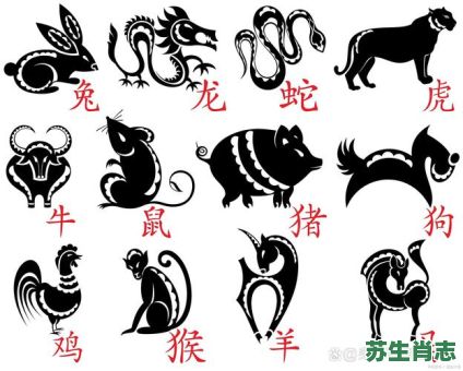 抱是什么生肖？抱代表哪个生肖