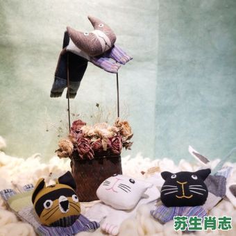 枕是什么生肖？枕字打一准确生肖