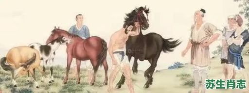弼马温是什么生肖?弼马温是个什么数字 弼马温是什么生肖?弼马温是个什么数字