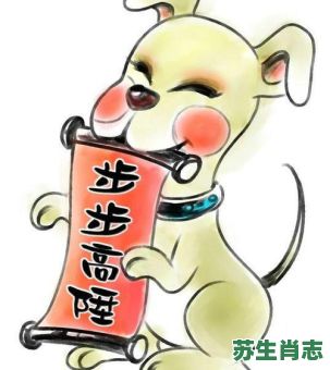 过眼云烟是什么生肖？过眼云烟打正确一动物