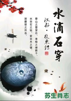 滴水穿石是什么生肖？水滴石穿三大生肖