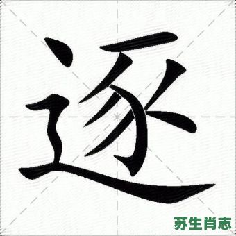 逐是什么生肖？逐的意思是什么