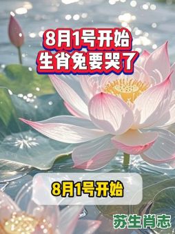 哭肖是什么生肖？哭肖最正确生肖