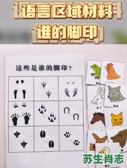 梅花脚印是什么生肖？梅花脚的生肖有哪几个