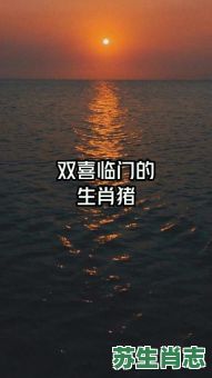 红双喜是什么生肖？双喜临门是指什么生肖