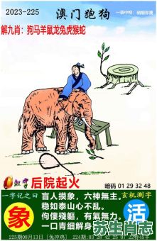 后院起火是什么生肖？后院起火打一准确动物