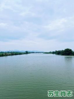 一江春水是什么生肖？一江春水打一准确生肖