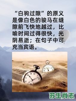 白驹过隙是什么生肖？白驹过隙暗示了什么
