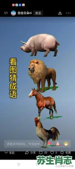 马大哈是什么生肖？什么马不是马正确答案