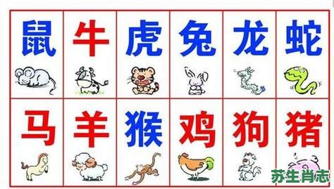 心胸狭窄是什么生肖？什么动物心胸狭窄?