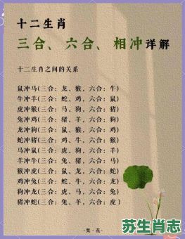 二八合七是什么生肖？二八合七最佳答案生肖