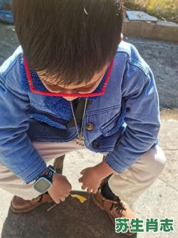 肝是什么生肖？肝代表什么数字