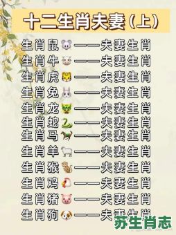 12生肖美女是什么生肖?12生肖哪个是对对肖 12生肖美女是什么生肖?12生肖哪个是对对肖