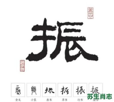 振字是什么生肖？震代表啥生肖