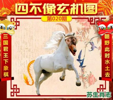 目不转睛是什么生肖？鞋子打一个准确生肖