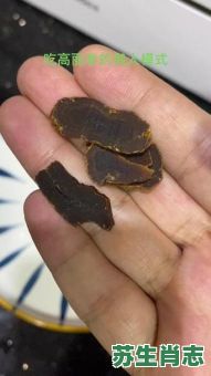 参是什么生肖？参字最正确生肖