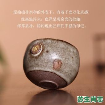 金杯是什么生肖？金杯打一准确生肖
