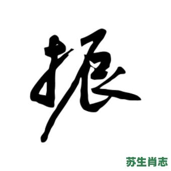 振是什么生肖？振字最正确生肖