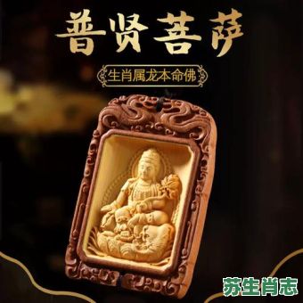 黑补丁是什么生肖?正确黑肖是什么生肖 黑补丁是什么生肖?正确黑肖是什么生肖