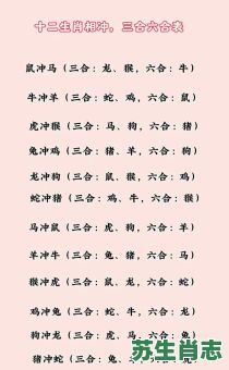 贼喊捉贼是什么生肖？贼喊捉贼最正确一肖