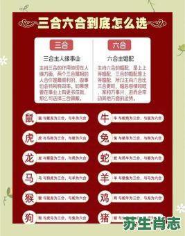 纵横天下是什么生肖？纵横天下打一准确生肖