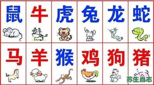 篝是什么生肖？炊指什么生肖