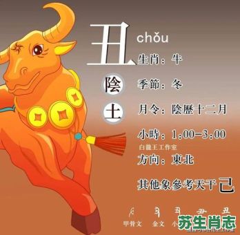 中文丑是什么生肖？丑是什么生肖数字