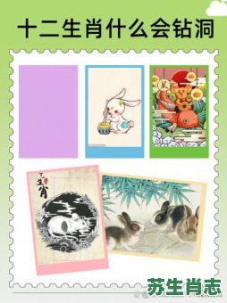 勤劳的生肖是什么？勤劳力大最正确的生肖