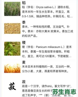 五谷不分是什么生肖？五谷不分最准确的生肖