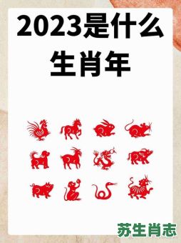 掠是什么生肖？十二生肖谁是掠