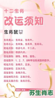 弊是什么生肖？财字代表什么生肖