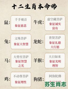 菩提祖师是什么生肖？菩提打一最佳生肖
