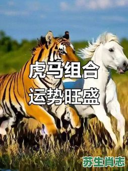 称霸森林是什么生肖？森林代表什么生肖