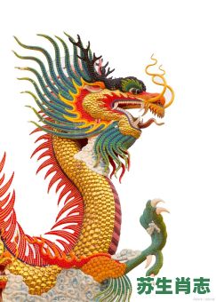 凶恶的动物是什么生肖？穷凶极恶最佳答案一肖